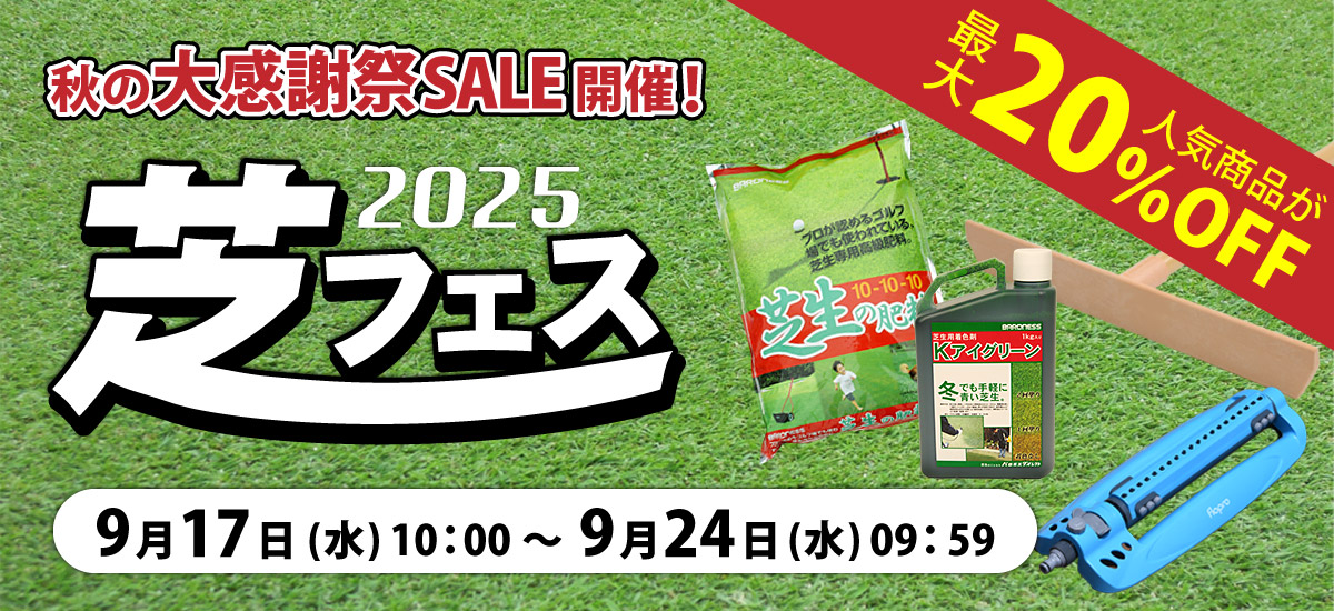 shibafes2025-1_12.jpg
