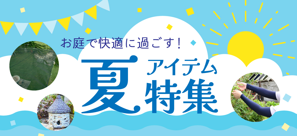 /event/sm-item_12.jpg