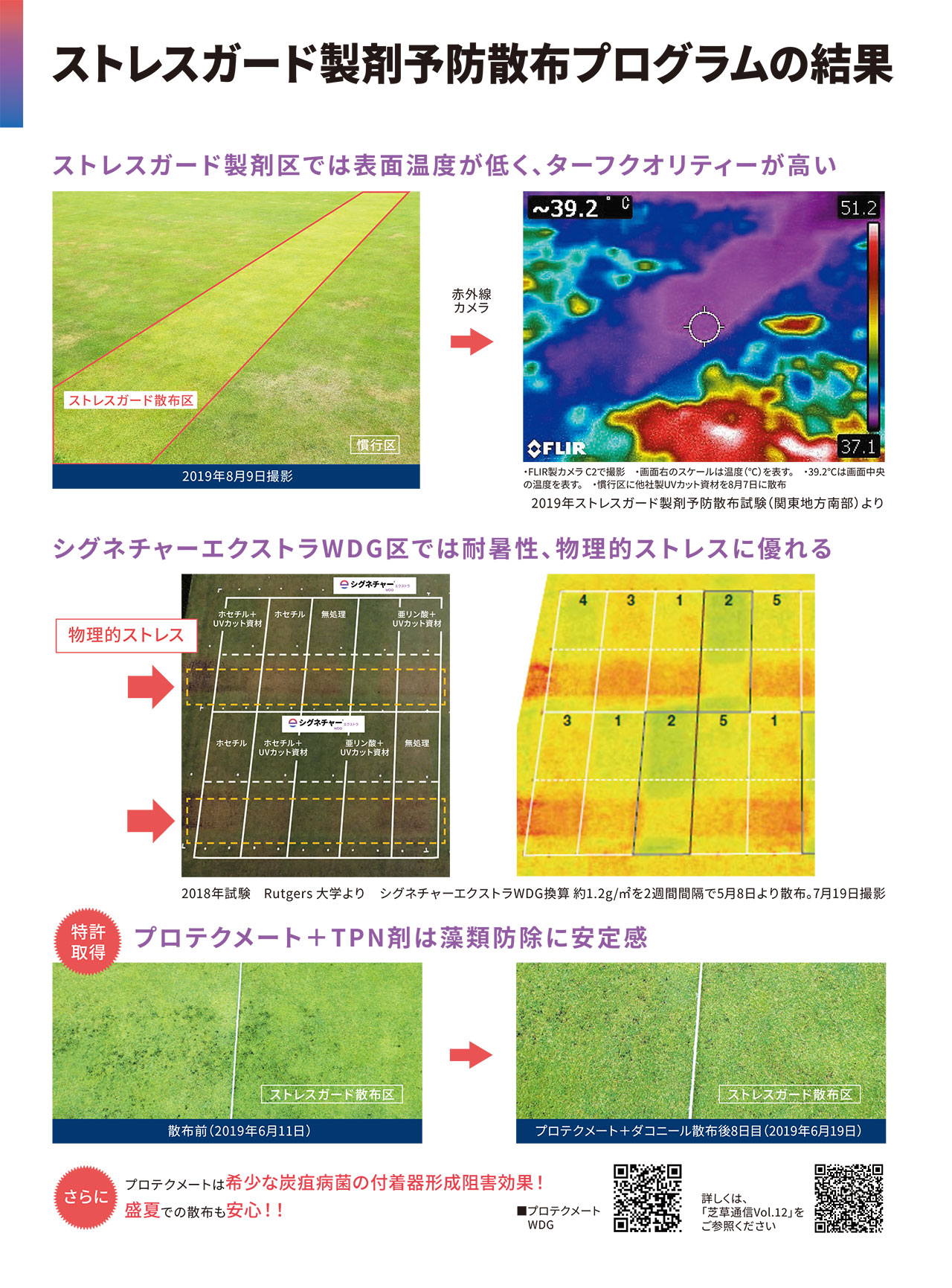 芝生の赤焼病、ピシウム病の防除に。 芝生用殺菌剤　シグネチャーエクストラWDG 1kg入り