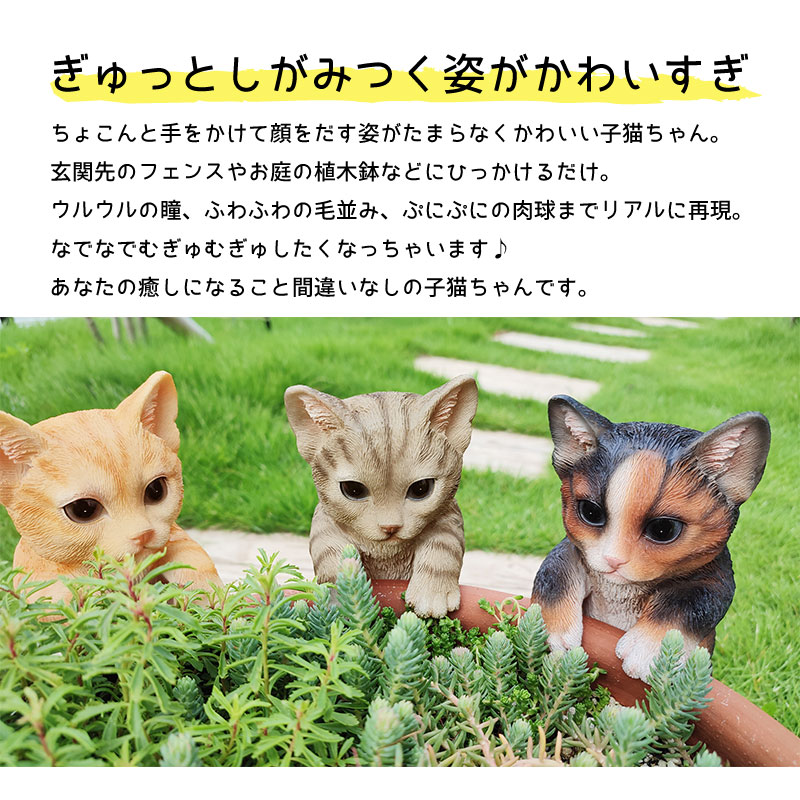 クーポン大特価 みけねこちゃん様 専用ページです。 - 食品