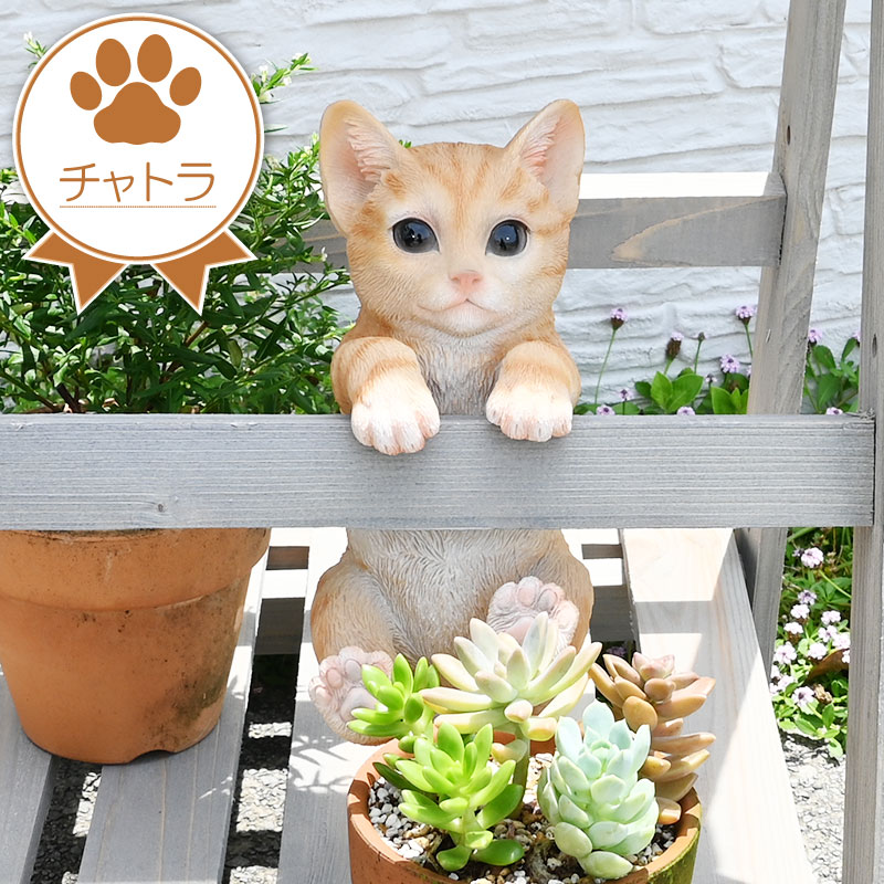 esschert design ガーデンオーナメント 子猫 チャトラ キジトラ 三毛猫 ひっかけ ぶらさがり みけ 茶トラ ねこ ネコ 置物 オブジェ  屋外 屋内 インテリア ギフト | 芝生のことならバロネスダイレクト