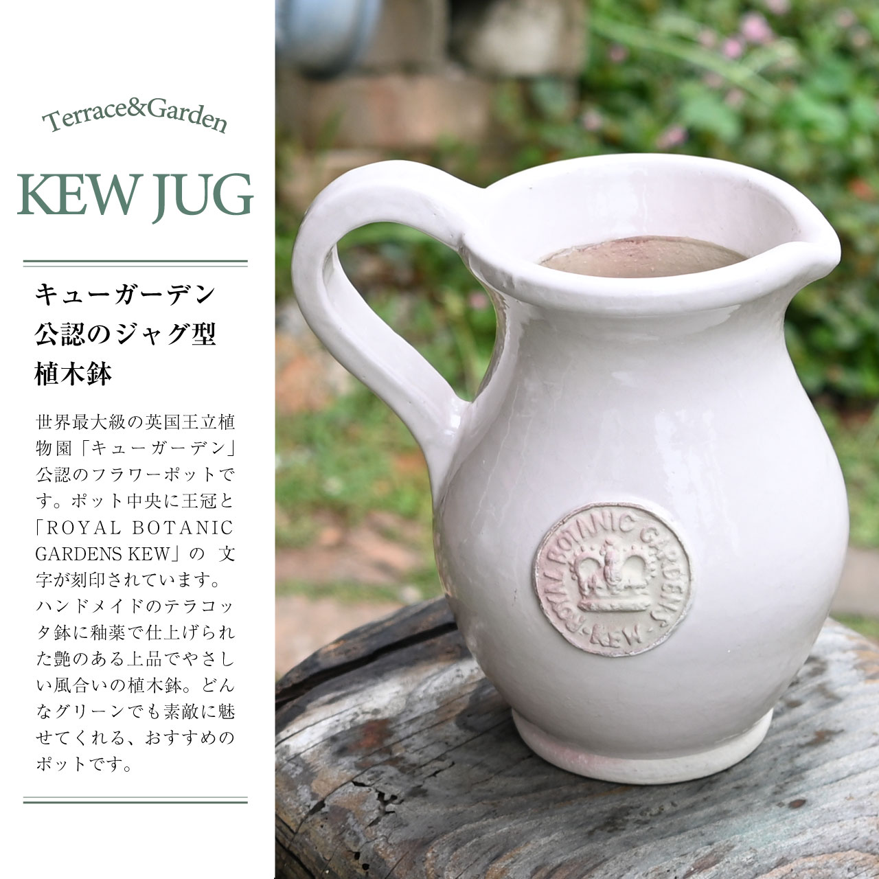 英国 Terrace&Garden キューガーデン キュージャグ 選べる3色 植木鉢