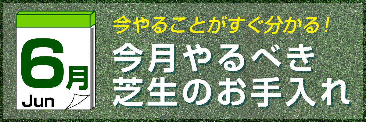 shibamonthly_bn_120.jpg