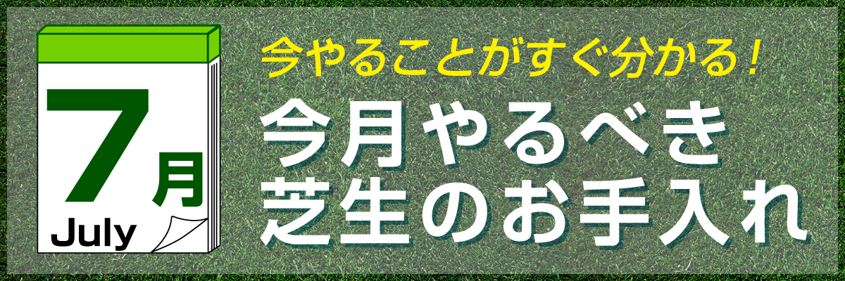 shibamonthly_bn_120.jpg