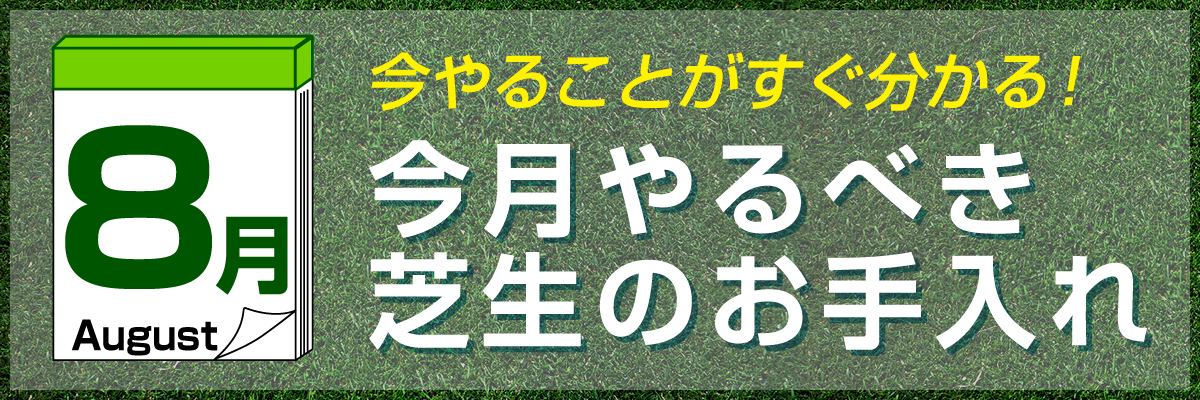 shibamonthly_bn_120.jpg