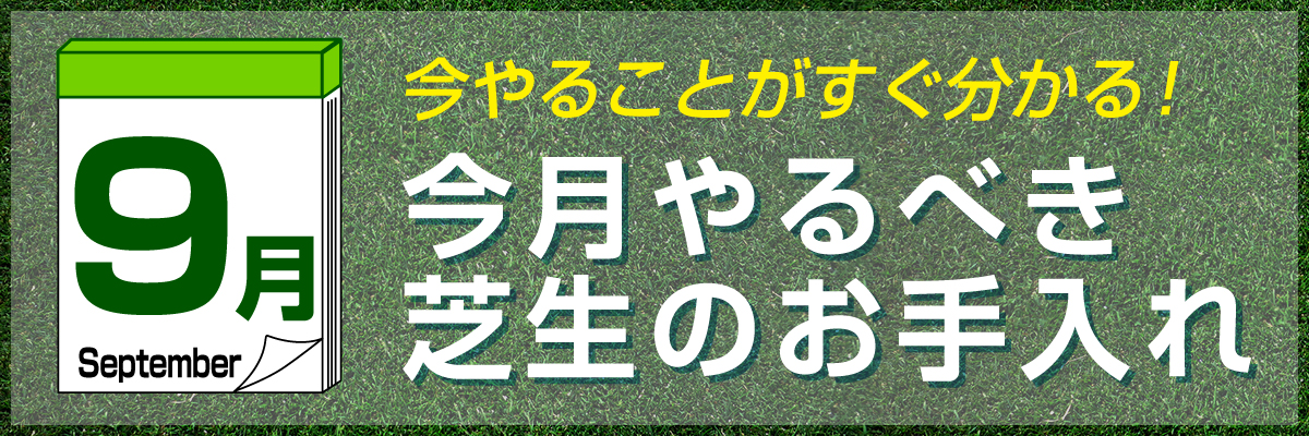 shibamonthly_bn_120.jpg