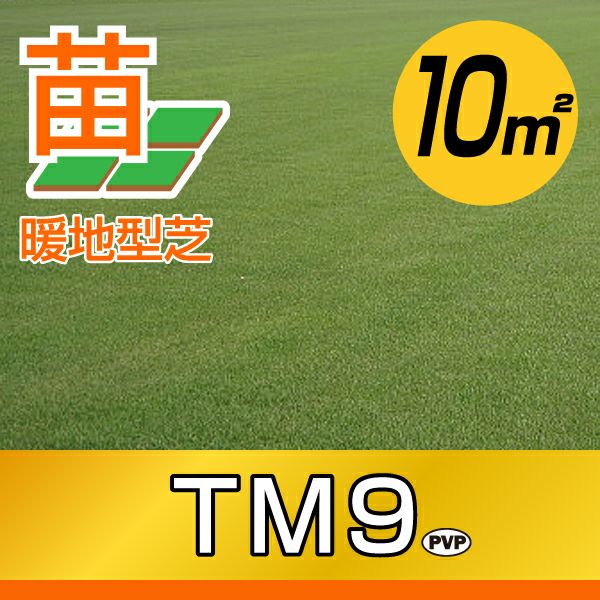 産地直送・代引不可・置き配不可】 省管理型高麗芝 ＴＭ９ ティーエムナイン 登録品種 張り芝用 プレミアム苗 鳥取産 10平米(３坪分) 園芸 | 芝生 のことならバロネスダイレクト