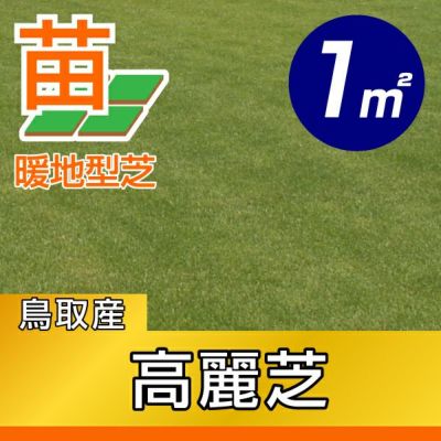 高麗芝15m2 産地直送で購入 高麗芝（普通種） | 芝生のことならバロネスダイレクト