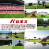 バロネス コードレス自走式芝刈り機 LMB12 低刈り用Ｗオプション装着品 刈り高変更オプションキット＋溝付きローラー サッカースタジアム、ゴルフ場トップシェア リール式 
