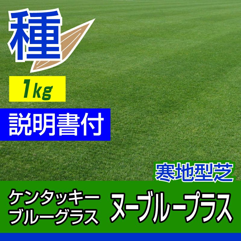 ケンタッキーブルーグラス ヌーブループラス 1kg入 お庭の広さ12～15坪用 バロネス寒地型芝の種 多年草 発芽適温摂氏15～25度程度です。