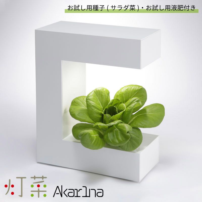 灯菜 LED水耕栽培器 AKARINA14 お試し用種(サラダ菜)付 お試し用