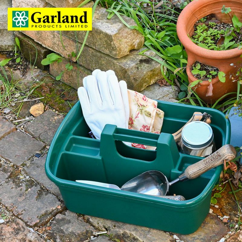 000000005574-01-l.jpg?t=