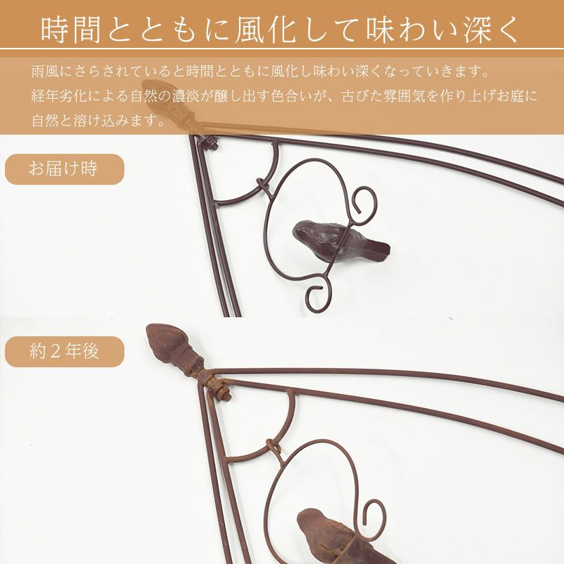 バードケージ型トピアリー オーバルタイプ ブラウン 2個セット