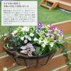 英国ブランド Smart Garden 壁掛けハンギングバスケット 40cm ヤシマット付き
