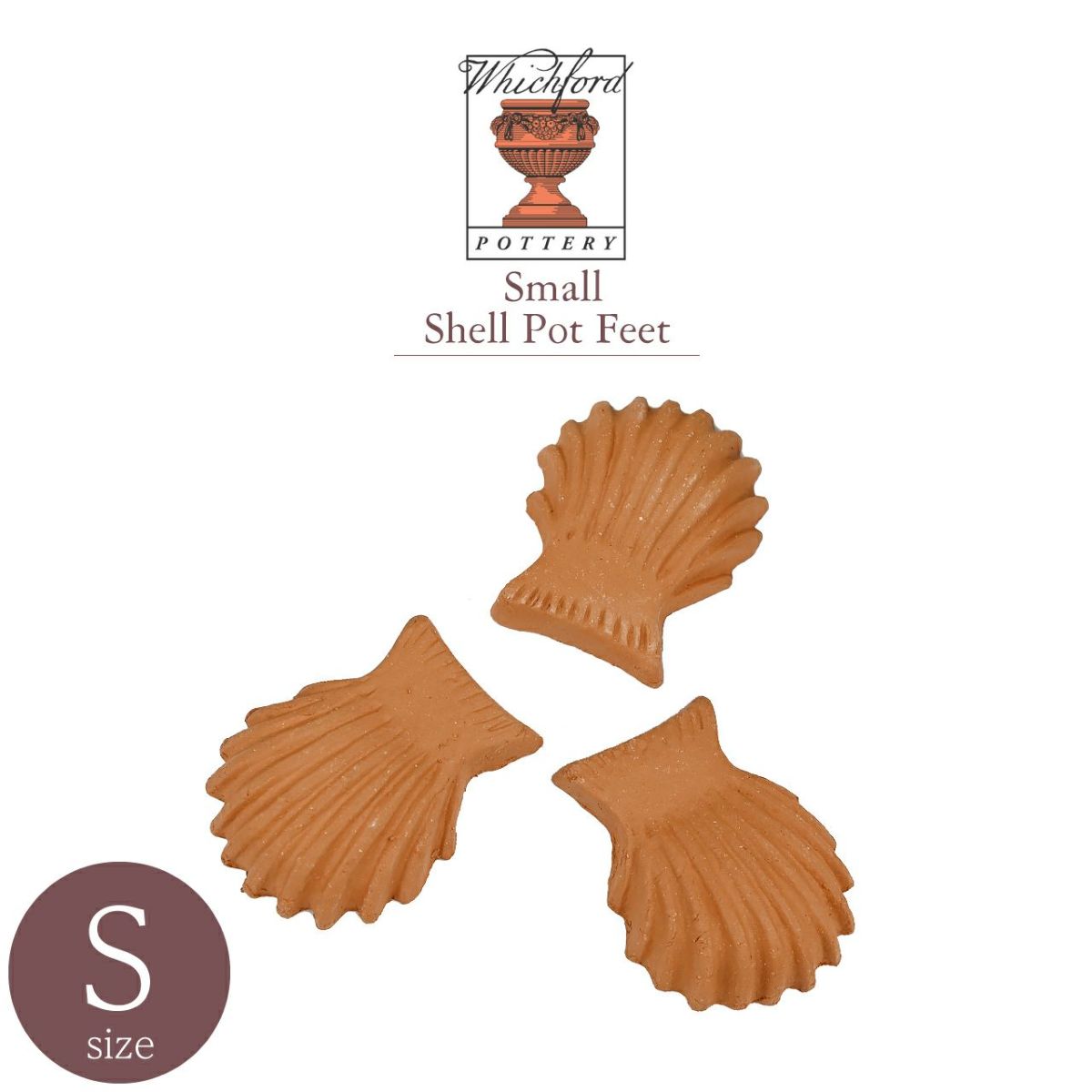 ポットフィートシェル 貝殻 Sサイズ