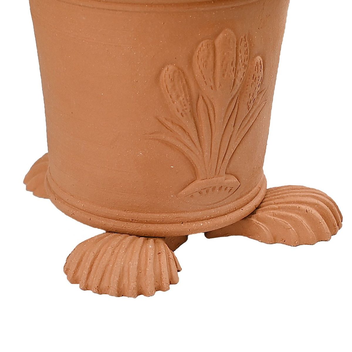 ポットフィートシェル 貝殻 Sサイズ