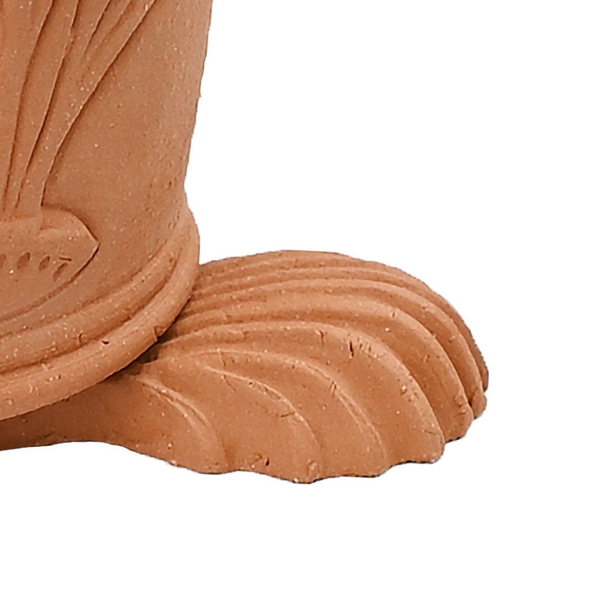 ポットフィートシェル 貝殻 Sサイズ