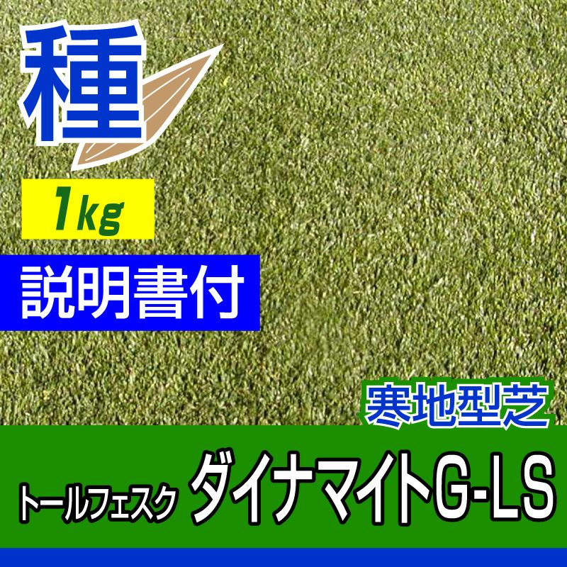 トールフェスク ダイナマイトG-LS 1kg 