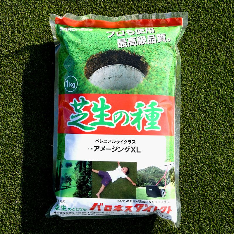 ペレニアルライグラス アメージングXL