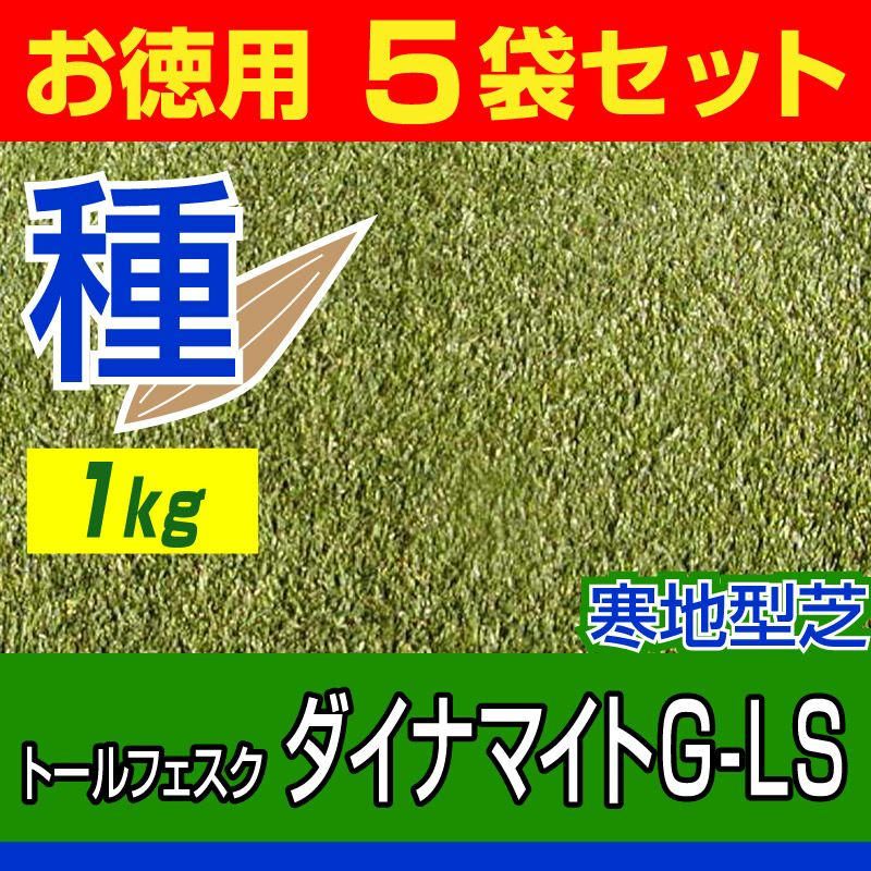 トールフェスク ダイナマイトG-LS 1kg お徳用5袋セット