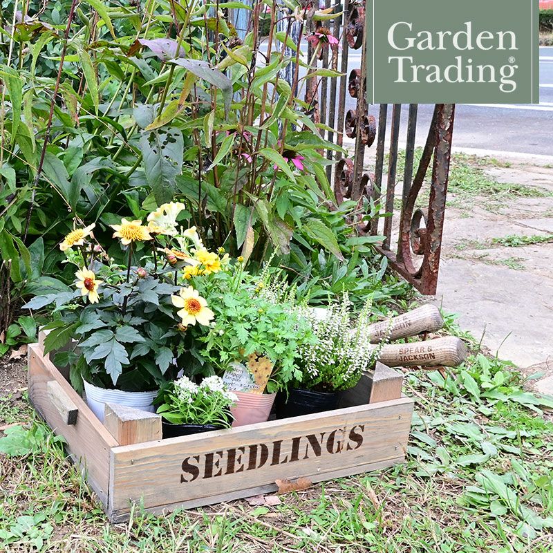英国ブランド Garden Trading 木製シードトレイ 屋外 ガーデン