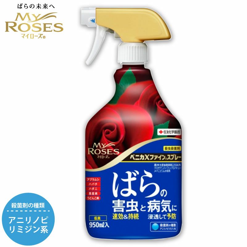 ミキプルーン code 999　プロフィール必読。さん専用 ミキプルーン code 999 プロフィール必読。さん専用