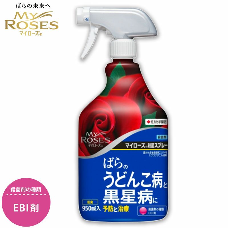住友化学園芸 殺菌剤 マイローズ殺菌スプレー 950ml KINCHO園芸