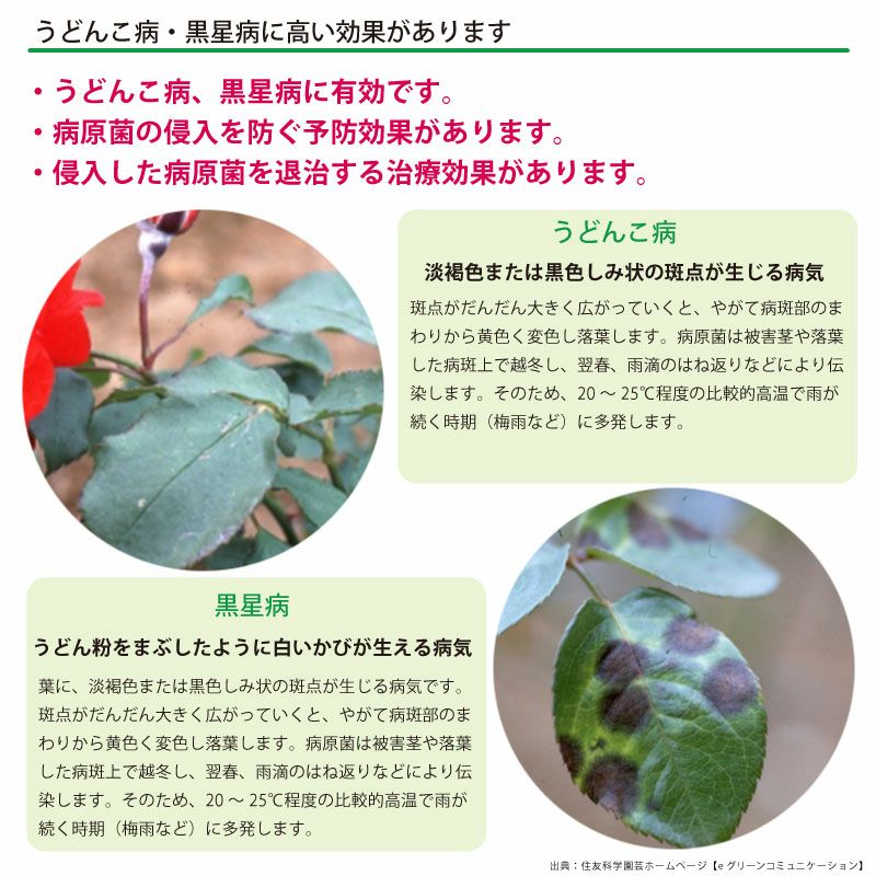 住友化学園芸 殺菌剤 マイローズ殺菌スプレー 950ml KINCHO園芸