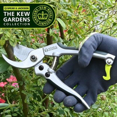 The Kew Gardens Collection（キューガーデン コレクション