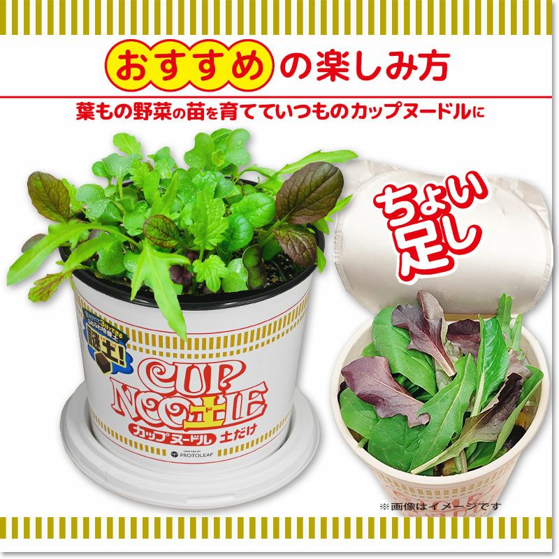 プロトリーフ 日清 カップヌー土ル