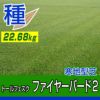 トールフェスク　ファイヤーバード２
