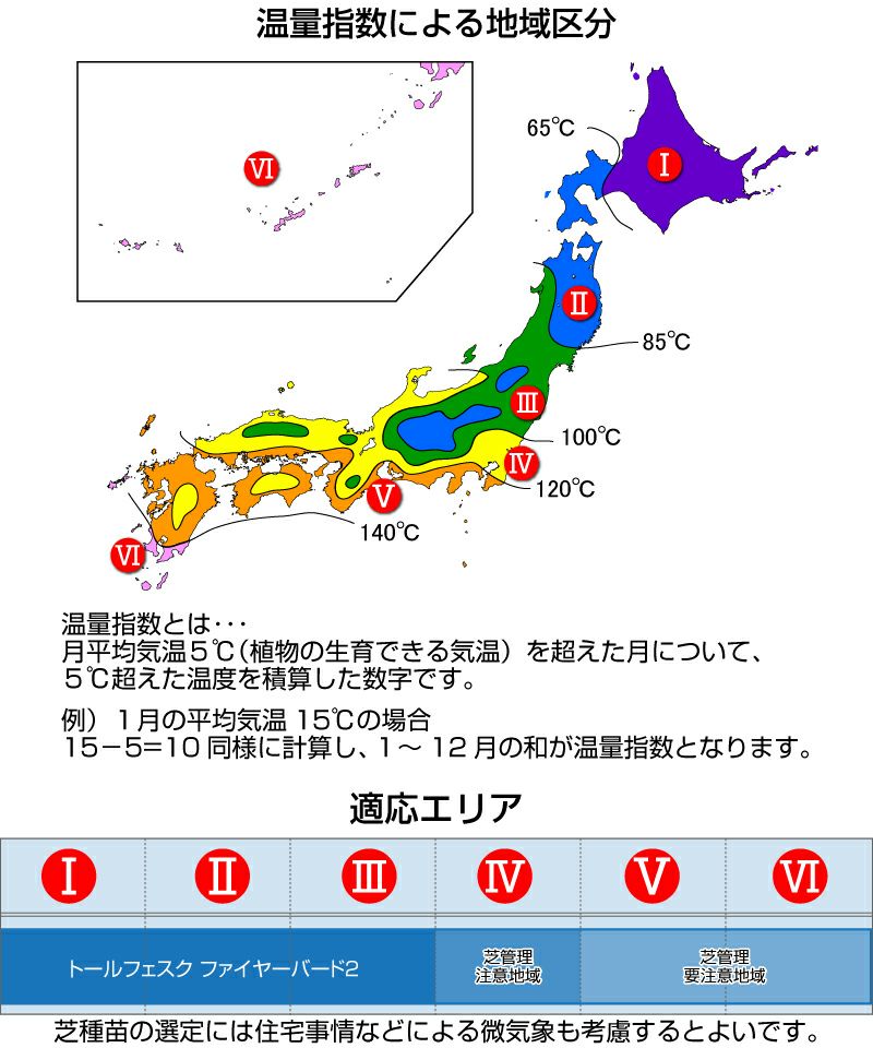 トールフェスク　ファイヤーバード２
