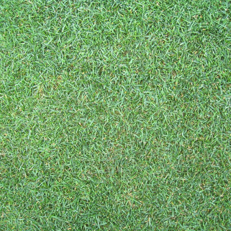 ケンタッキーブルーグラス レジェンド