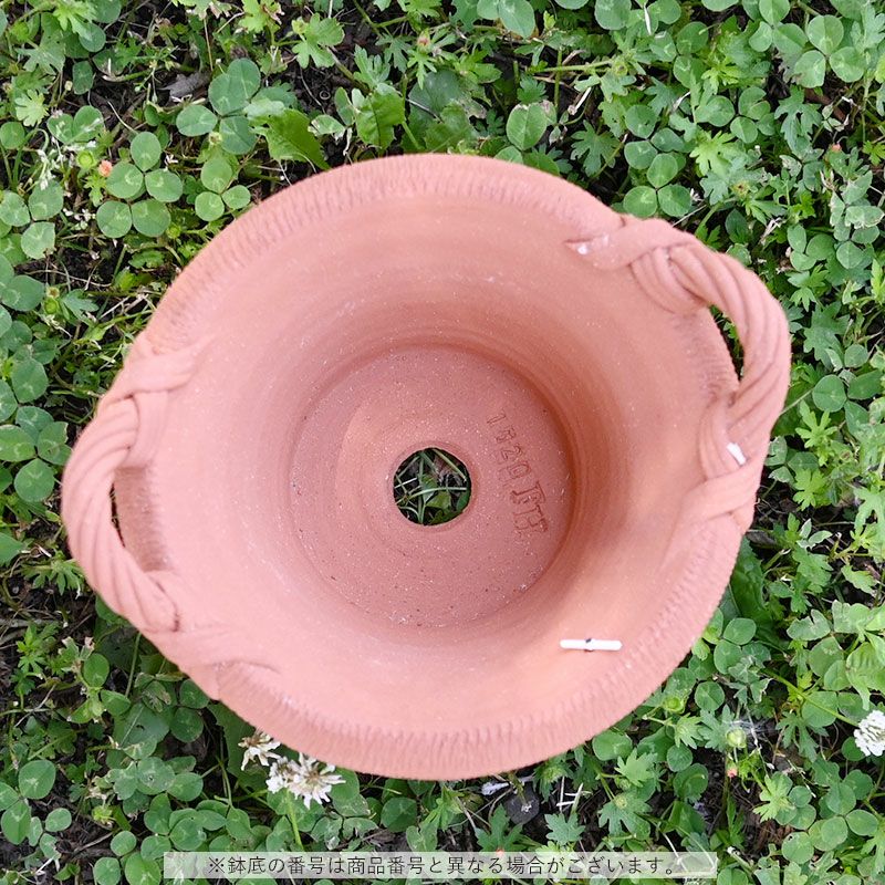 英国 ウィッチフォード シャローバスケット ハンドル付 直径21cm