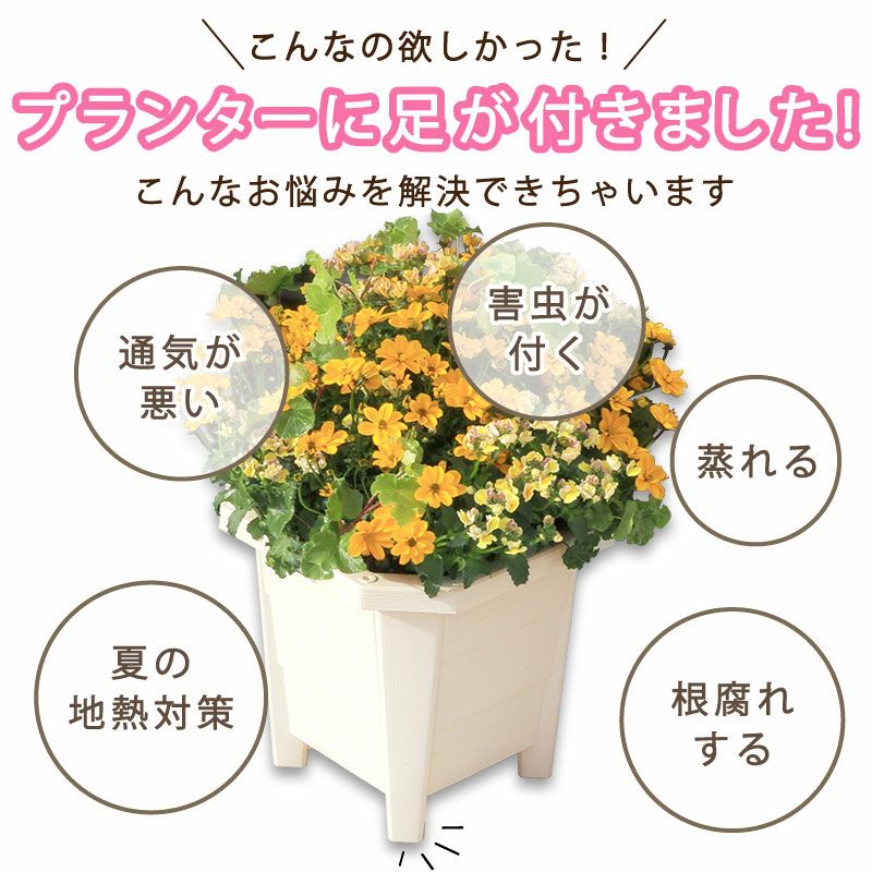 花と野菜のプランター スクエアー30cm ホワイト