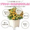 花と野菜のプランター スクエアー30cm ホワイト