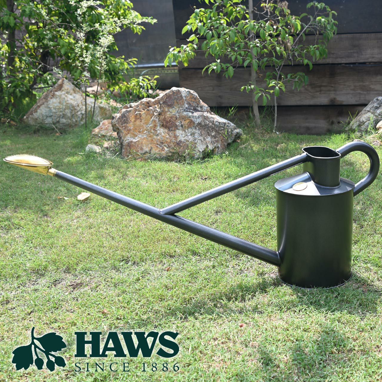 000000006129-01-m.jpg?t=