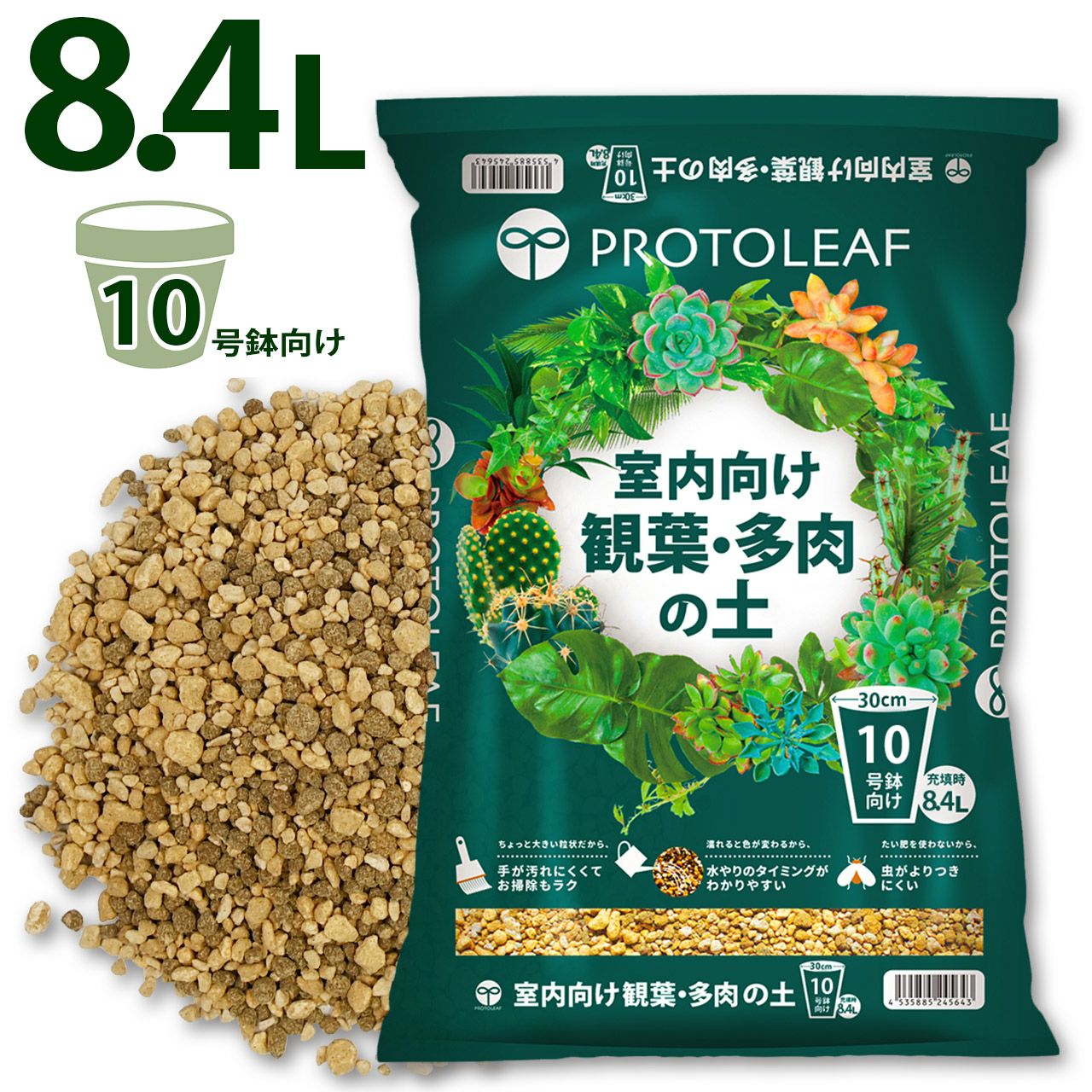 Top【選抜株】多肉植物 19586 カーニバル10個 鉢無し/脱土 楽天市場