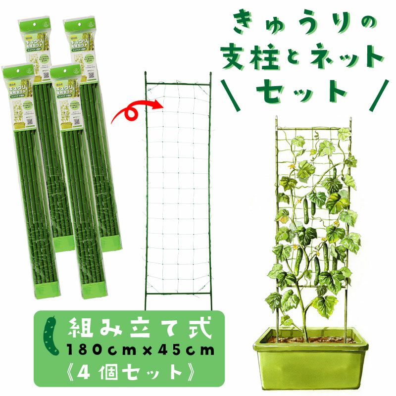 きゅうりさま専用 藤原商店 徳用きざみきゅうり 250g（藤原商店）の販売価格と購入