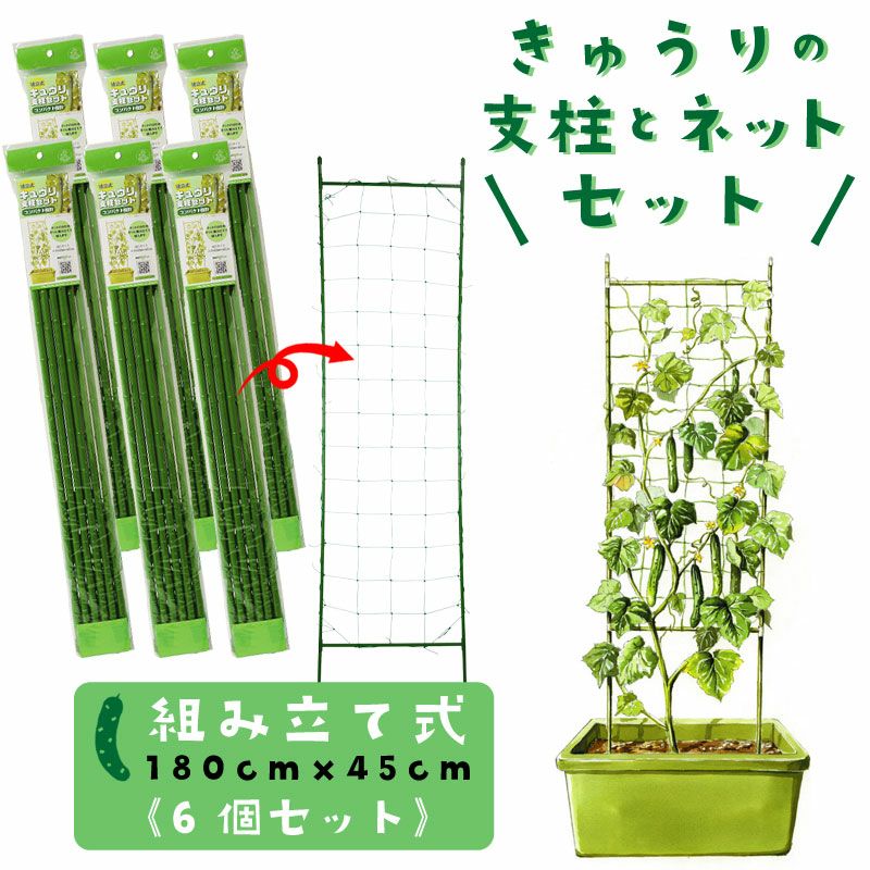 キュウリ支柱セット ネット付き 組立式 高さ180cm 家庭菜園用 6個セット 畑 ジョイント 園芸 パイプ | 芝生のことならバロネスダイレクト