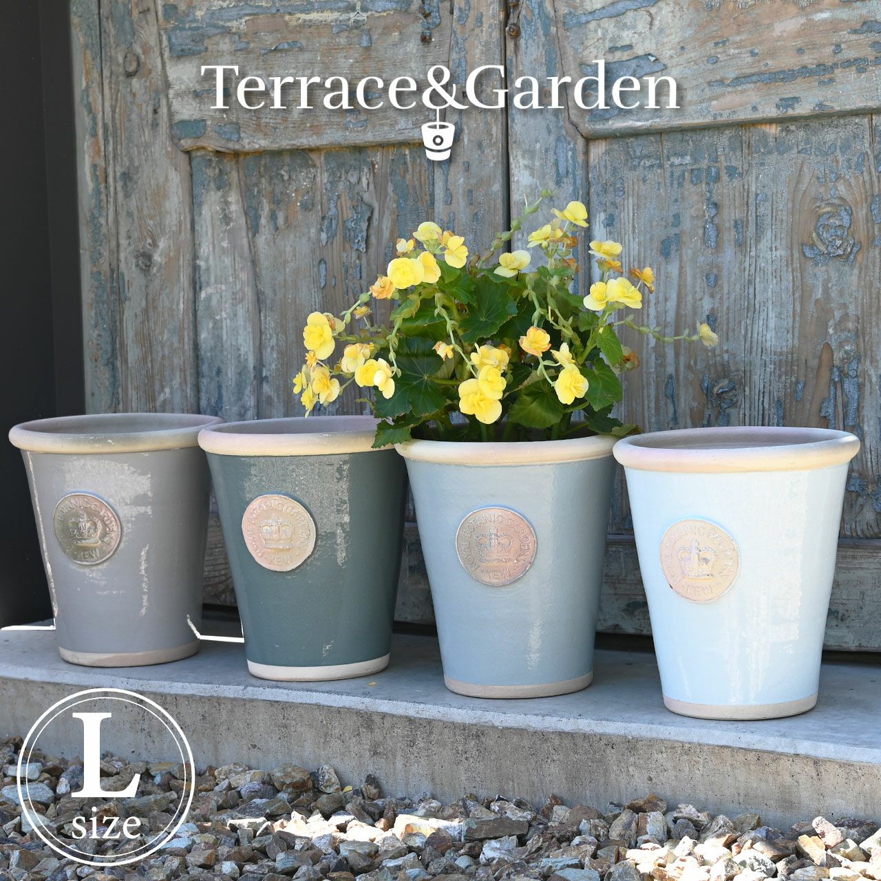 鉢・プランター・鉢カバー | 芝生のことならバロネスダイレクト