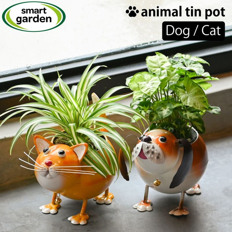 000000006203-01-l.jpg?t=