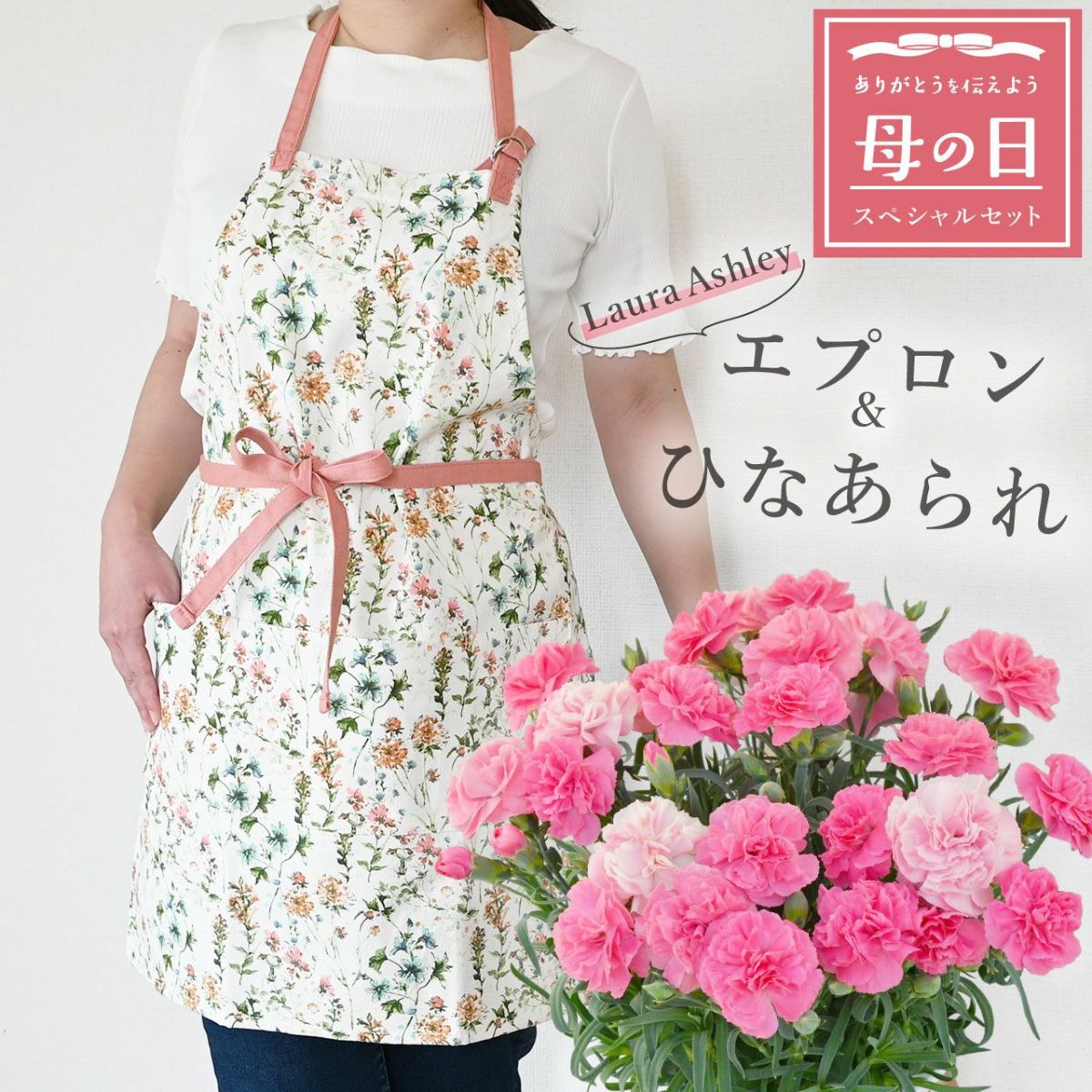 カーネーション＆エプロンセット（ひなあられ5号鉢＆ローラアシュレイエプロン）