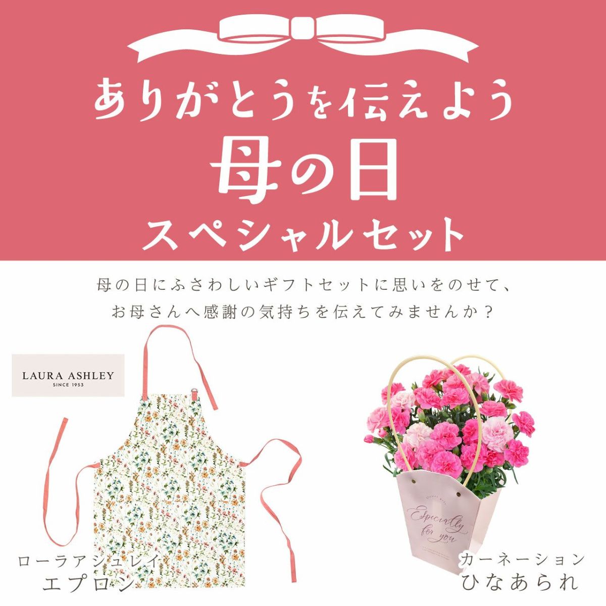 カーネーション＆エプロンセット（ひなあられ5号鉢＆ローラアシュレイエプロン）