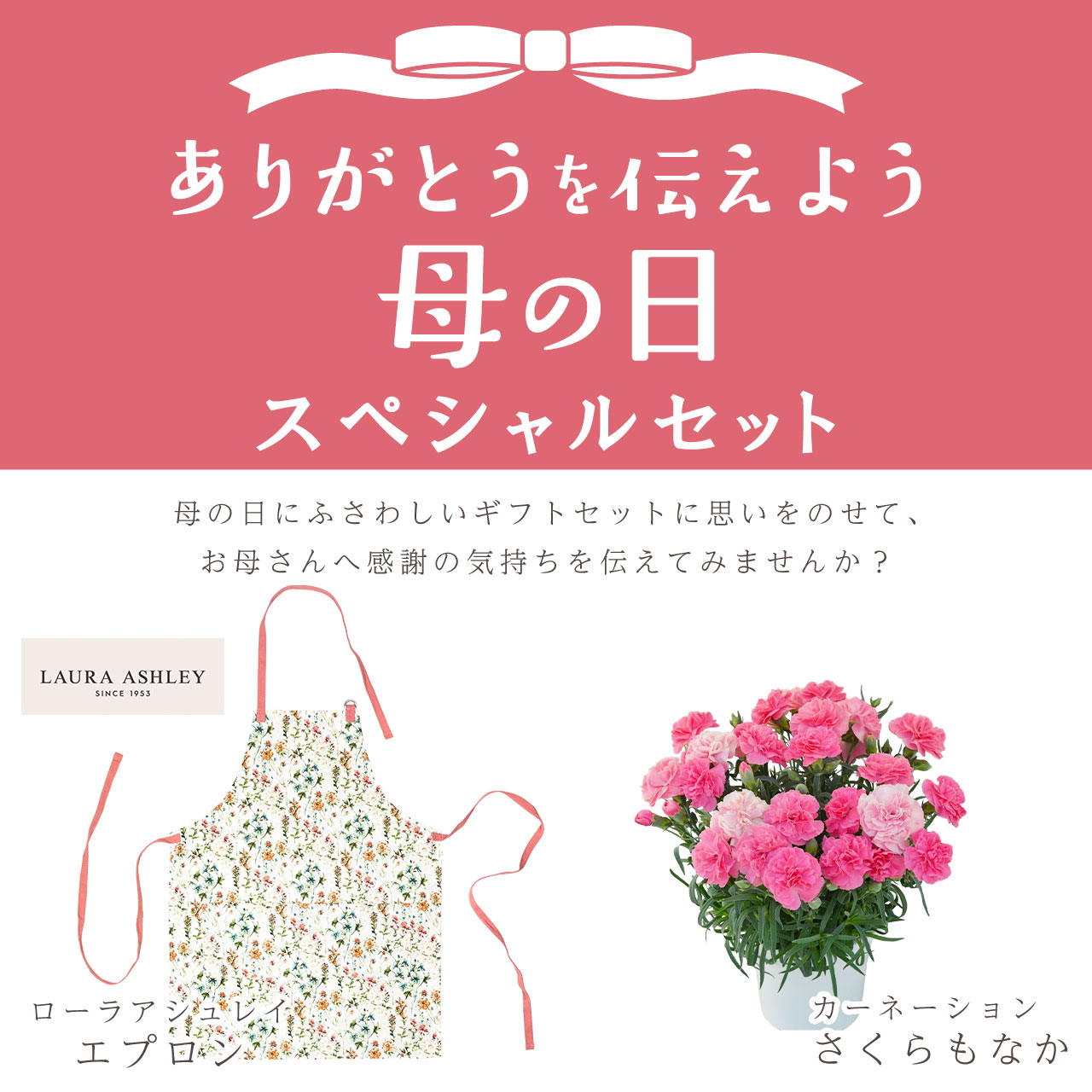 カーネーション＆エプロンセット（ひなあられ5号鉢＆ローラアシュレイエプロン）