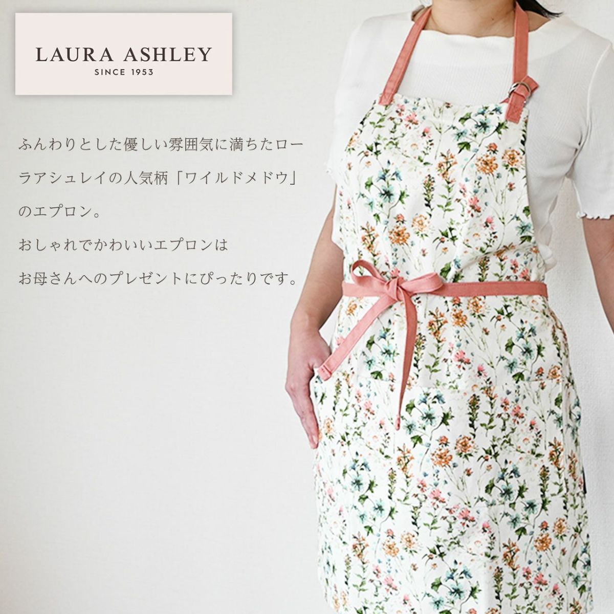 カーネーション＆エプロンセット（ひなあられ5号鉢＆ローラアシュレイエプロン）