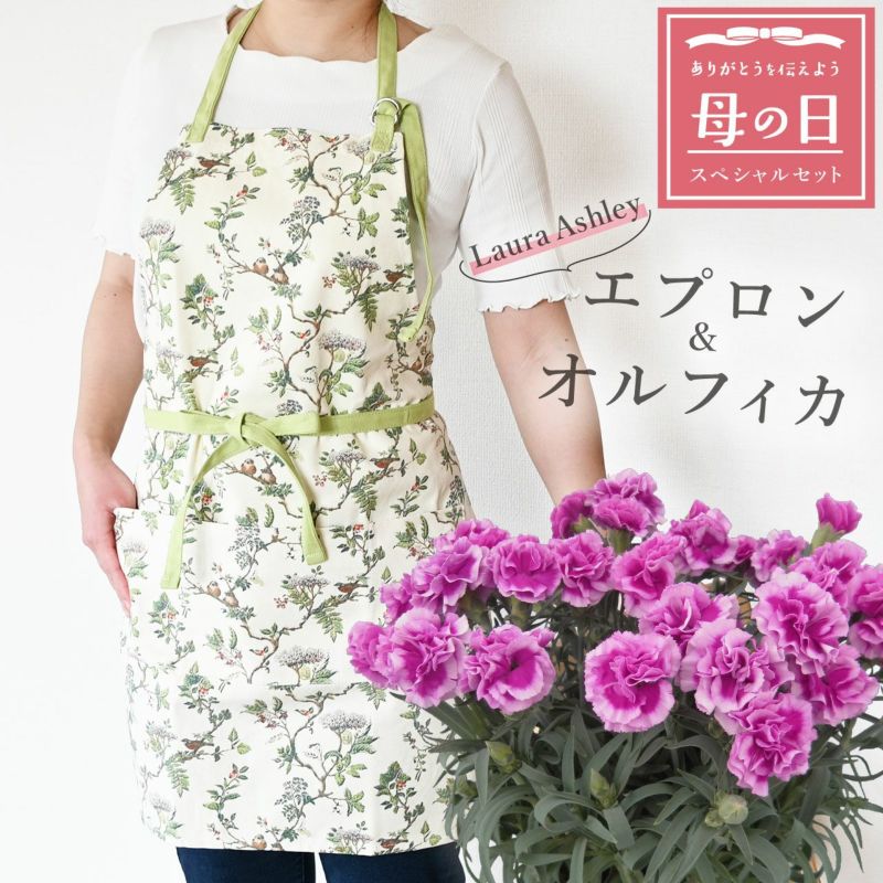 カーネーション＆エプロンセット（オルフィカ5号鉢＆ローラアシュレイエプロン）