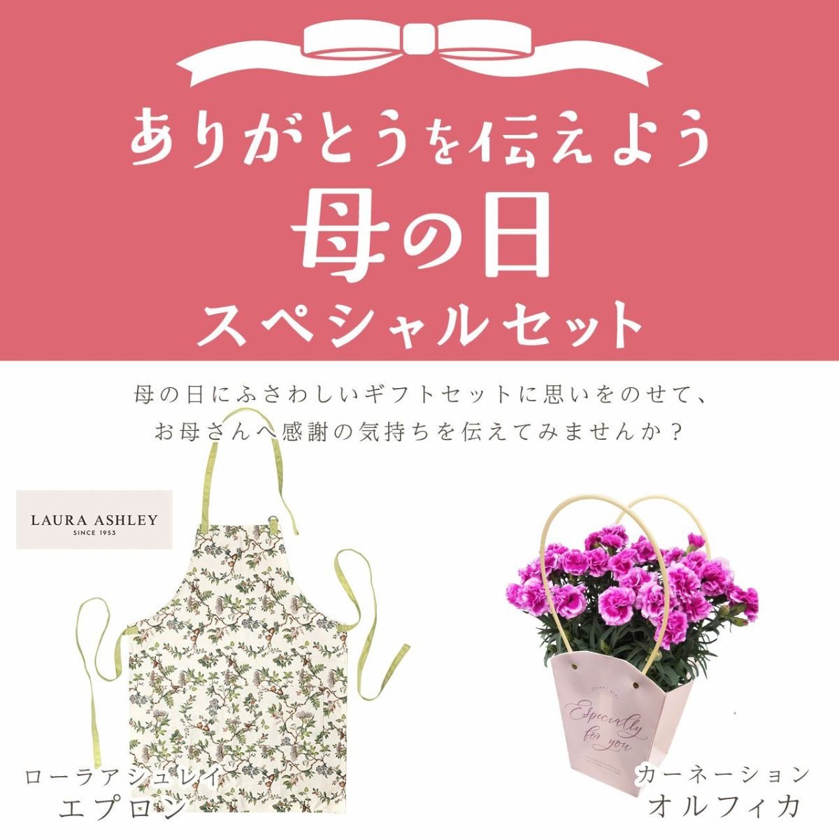 カーネーション＆エプロンセット（オルフィカ5号鉢＆ローラアシュレイエプロン）