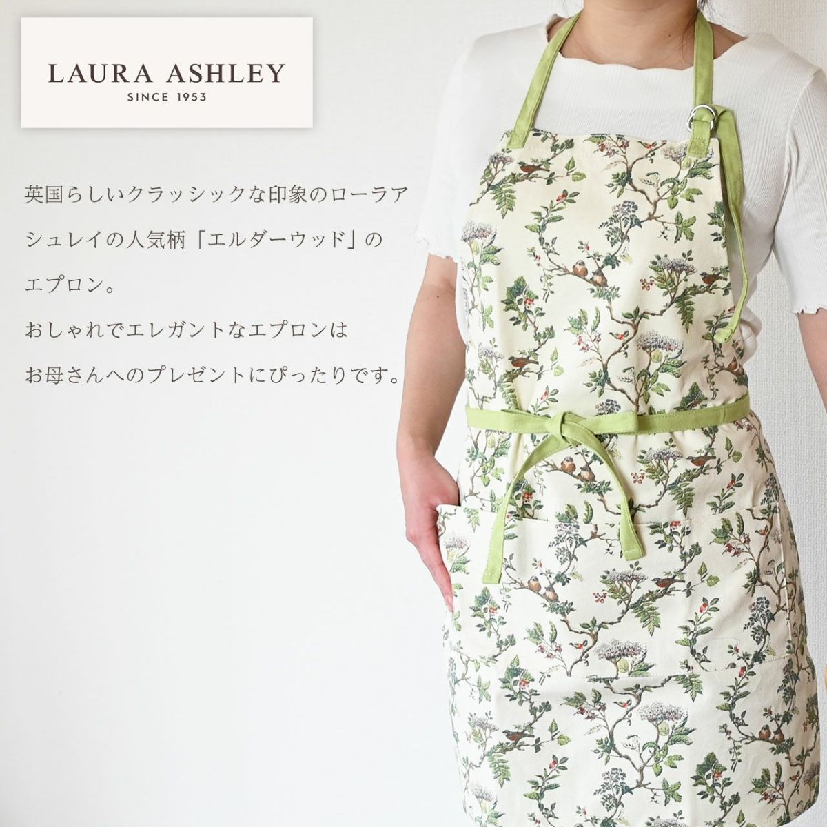 カーネーション＆エプロンセット（オルフィカ5号鉢＆ローラアシュレイエプロン）