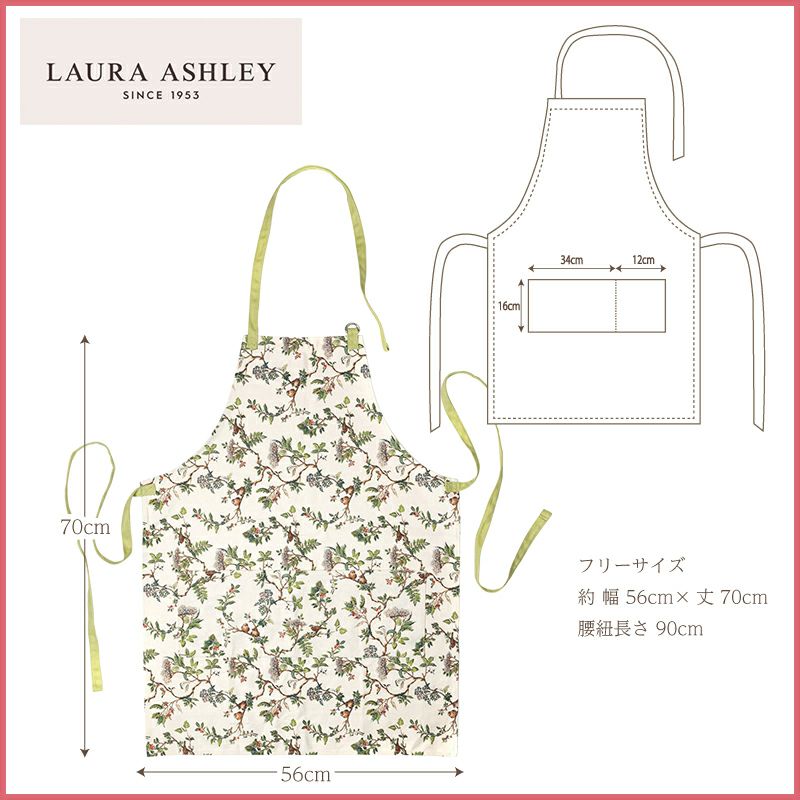 カーネーション＆エプロンセット（オルフィカ5号鉢＆ローラアシュレイエプロン）